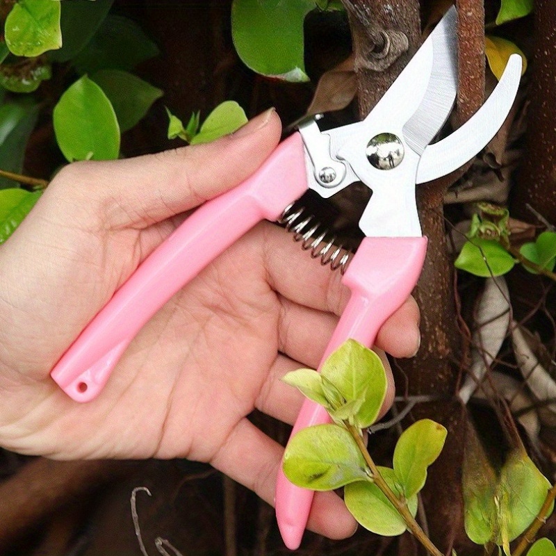 2 Pack Flower Scissors(Pink),  - Pinking Shear Blade ulasan dan harga